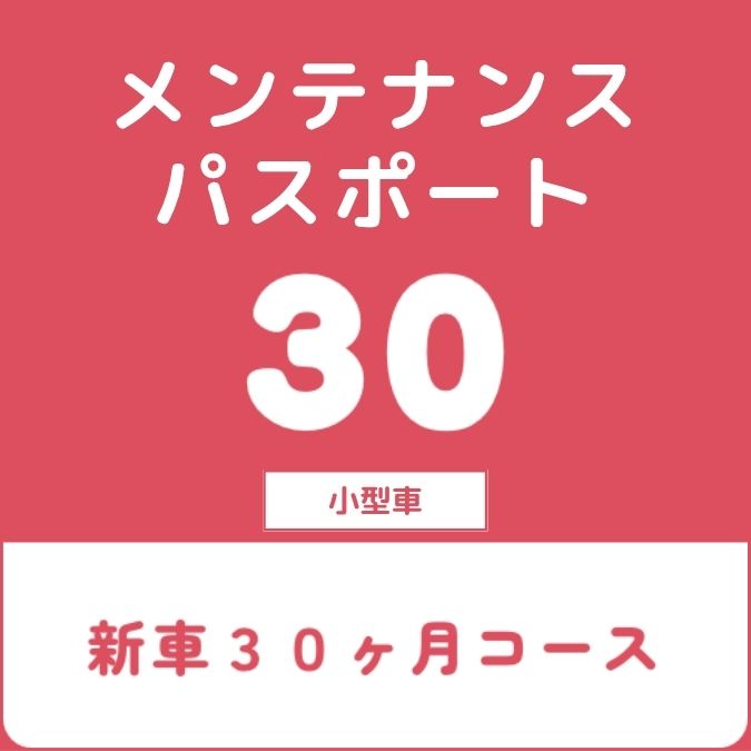 メンテナンスパスポート30（1クラス）