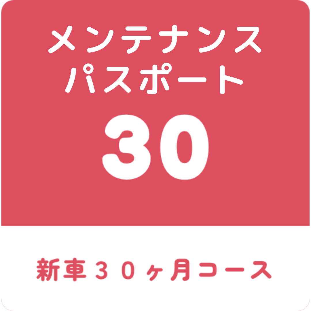 メンテナンスパスポート30