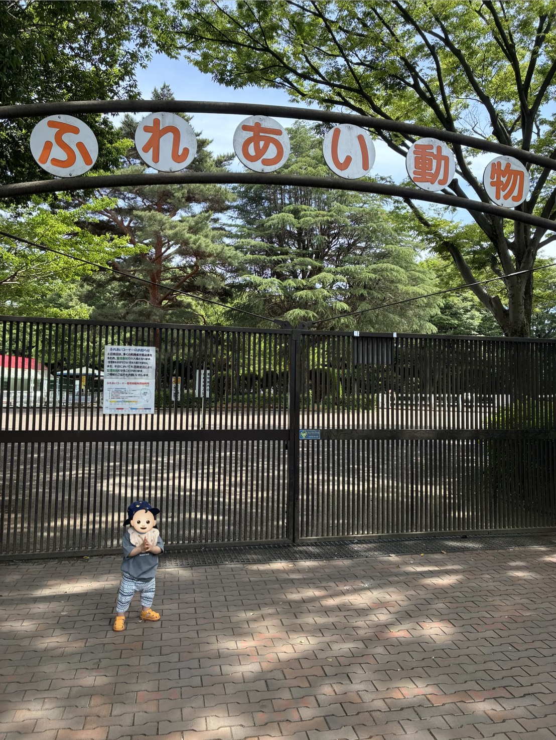 休日、家族に全振りしました